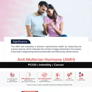 AMH Blood Test