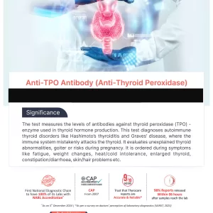 Anti-TPO Antibody Blood Test