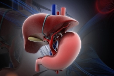 Liver Function Tests
