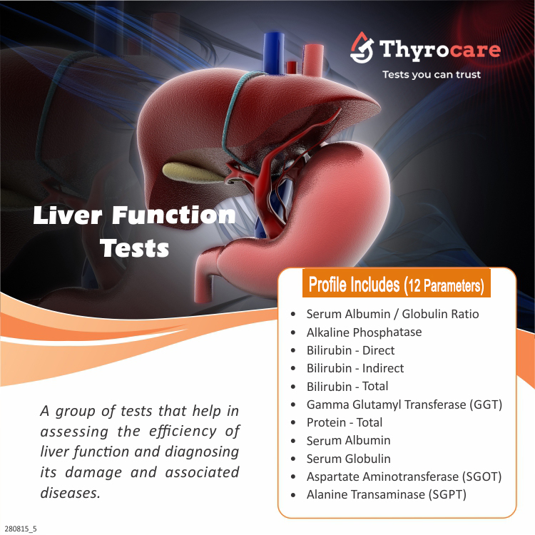 Liver Function Tests (LFT) Profile - Complete Liver Panel Near Me