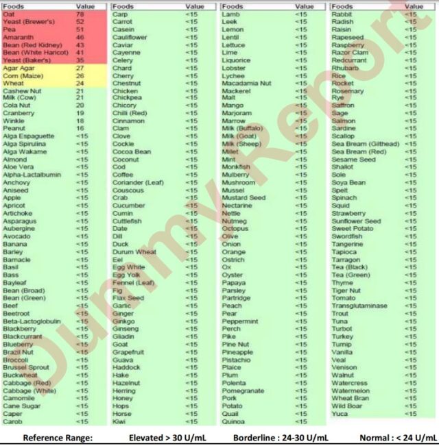 Food intolerance profile report - example for reference