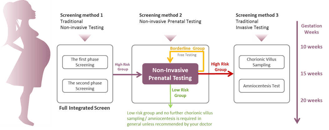 Non Invasive Prenatal Testing (NIPT) in Jamshedpur Noninvasive Prenatal Testing (NIPT) - screening Flow and Time - Infograph