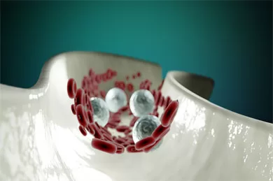 Heavy metals and toxic elements in the blood plasma