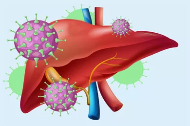 Hepatitis B Test Panel with HbSag, Hepatitis B Viruses, Antibodies, Core and Envelope Antigens
