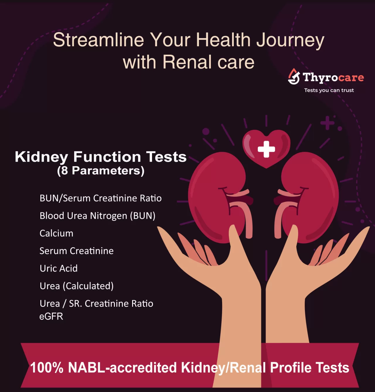 Kidney Function Tests (KFT) - Renal Function Tests (RFT) - Kidney Profile - Renal Profile - Kidpro by Thyrocare
