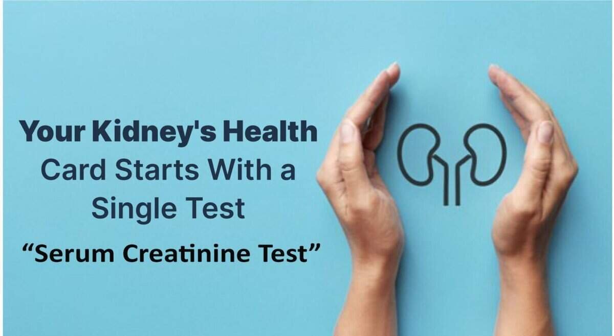 Kidney health test with a graphic of kidneys and hands on a light blue background.