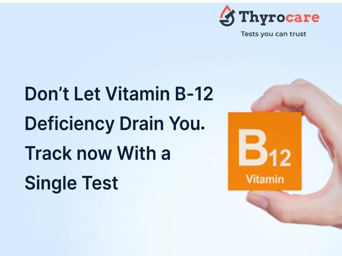 Vitamin B12 test in Jamshedpur by Thyrocare