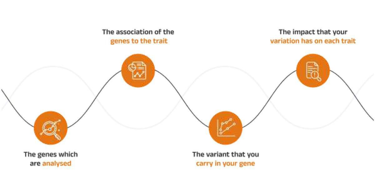 Gene mapping DNA test for wellness traits explained